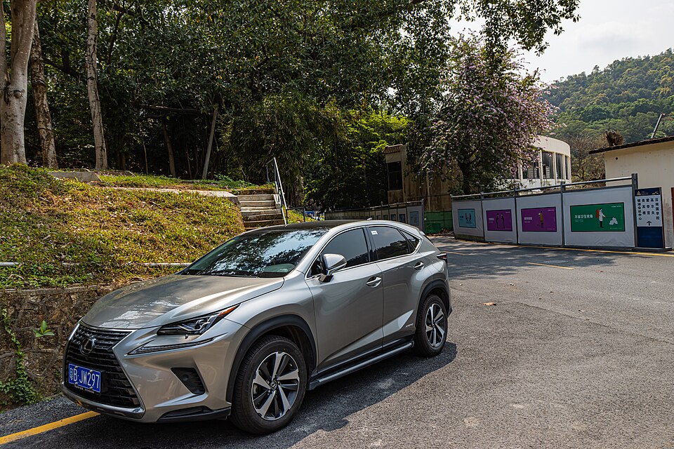 NX 300H